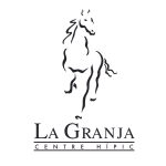 Violinista Barcelona