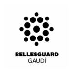 Violinista Barcelona