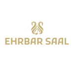 Violinista Profesional