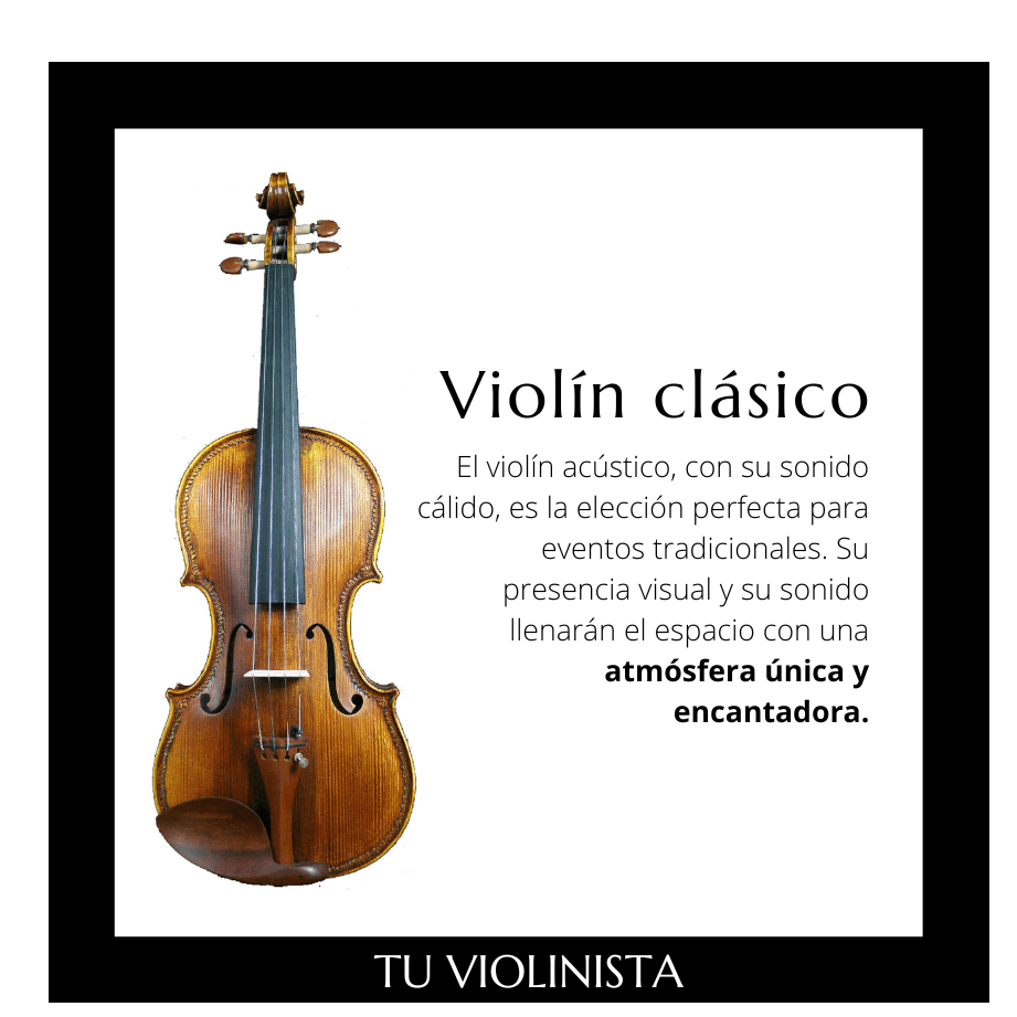 violin para bodas