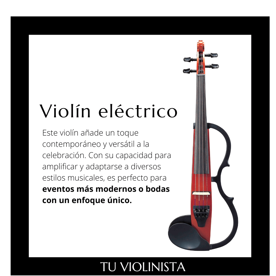 violinista electrico